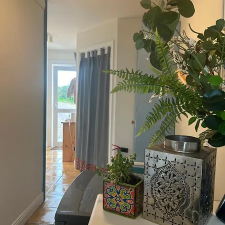 Tig Monbretia ディングル