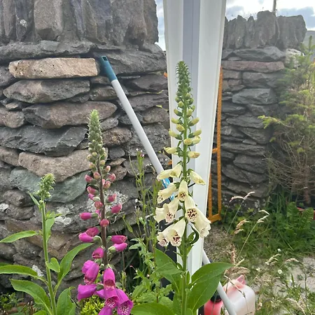 Tig Monbretia Apartman Dingle