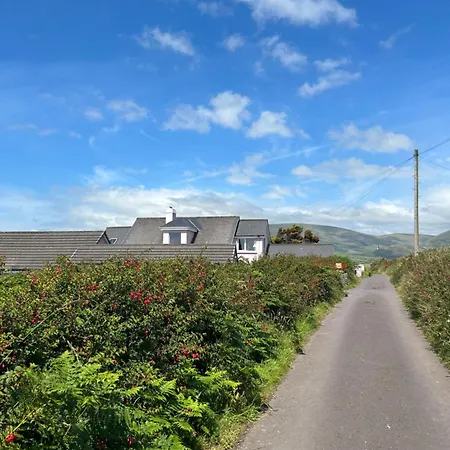 Tig Monbretia ディングル