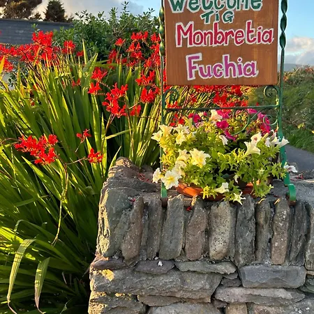 Tig Monbretia Дингл