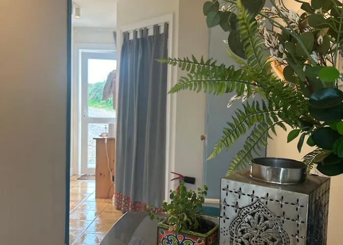 Tig Monbretia Dingle