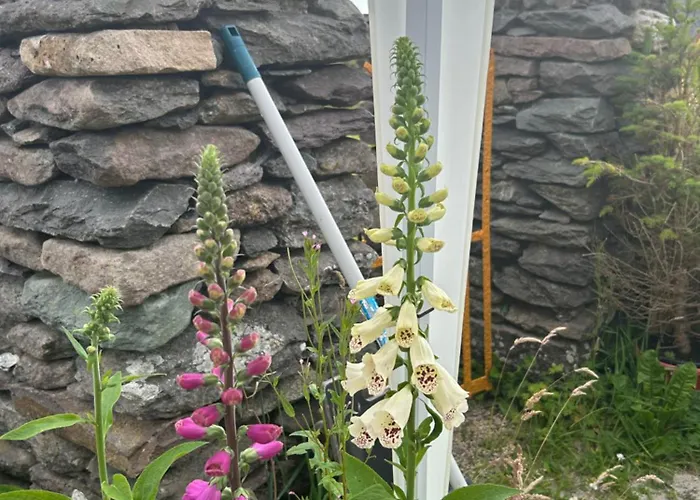 Tig Monbretia Appartamento Dingle