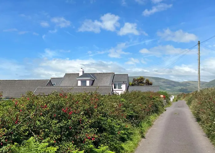 Tig Monbretia Dingle