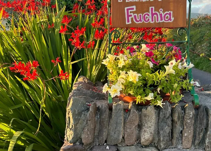 Tig Monbretia Dingle