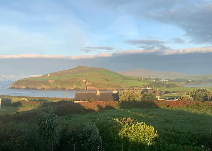 Tig Monbretia Dingle